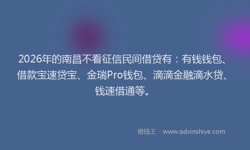 2026年的南昌不看征信民间借贷有：有钱钱包、借款宝速贷宝、金瑞Pro钱包、滴滴金融滴水贷、钱速借通等。