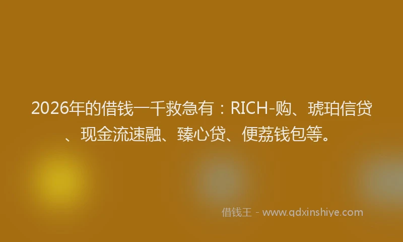 2026年的借钱一千救急有：RICH-购、琥珀信贷、现金流速融、臻心贷、便荔钱包等。