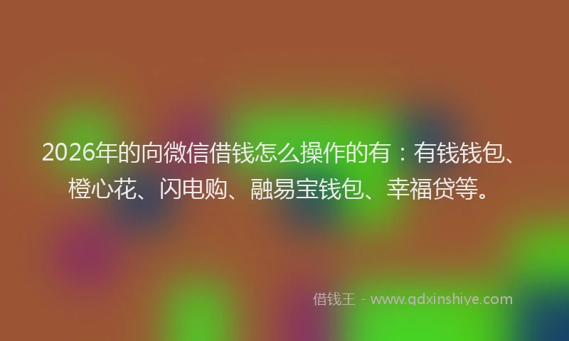 2026年的向微信借钱怎么操作的有：有钱钱包、橙心花、闪电购、融易宝钱包、幸福贷等。