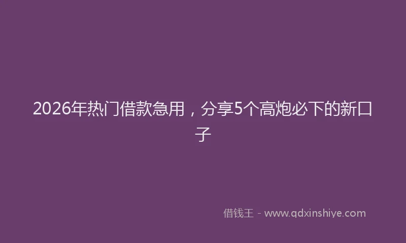 2026年热门借款急用，分享5个高炮必下的新口子
