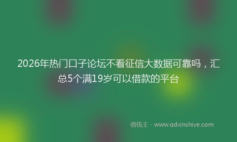 2026年热门口子论坛不看征信大数据可靠吗，汇总5个满19岁可以借款的平台