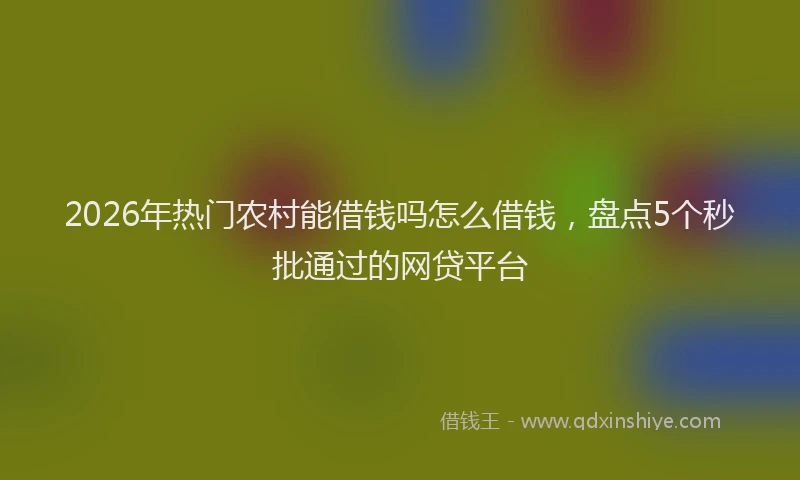2026年热门农村能借钱吗怎么借钱，盘点5个秒批通过的网贷平台