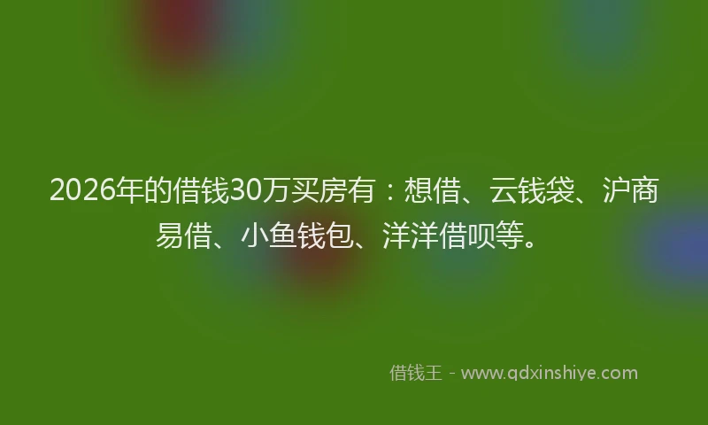 2026年的借钱30万买房有：想借、云钱袋、沪商易借、小鱼钱包、洋洋借呗等。