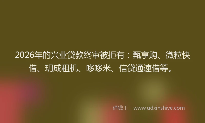 2026年的兴业贷款终审被拒有：甄享购、微粒快借、玥成租机、哆哆米、信贷通速借等。