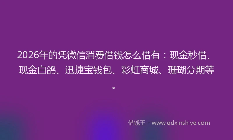 2026年的凭微信消费借钱怎么借有：现金秒借、现金白鸽、迅捷宝钱包、彩虹商城、珊瑚分期等。