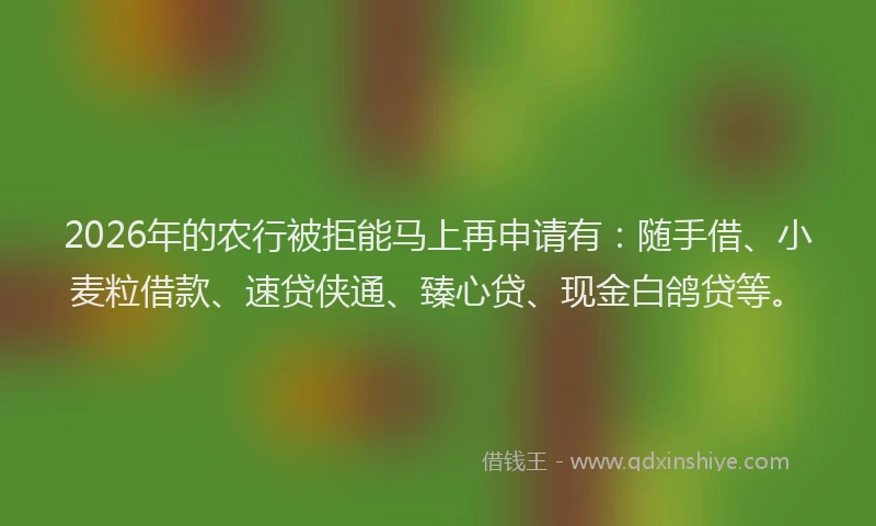 2026年的农行被拒能马上再申请有：随手借、小麦粒借款、速贷侠通、臻心贷、现金白鸽贷等。