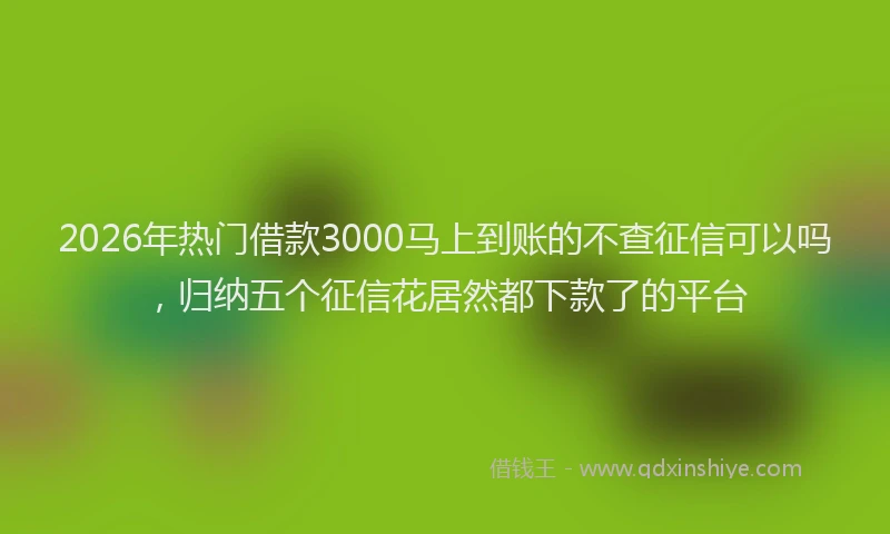 2026年热门借款3000马上到账的不查征信可以吗，归纳五个征信花居然都下款了的平台