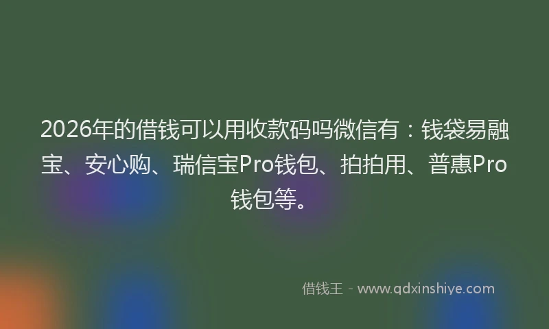 2026年的借钱可以用收款码吗微信有：钱袋易融宝、安心购、瑞信宝Pro钱包、拍拍用、普惠Pro钱包等。