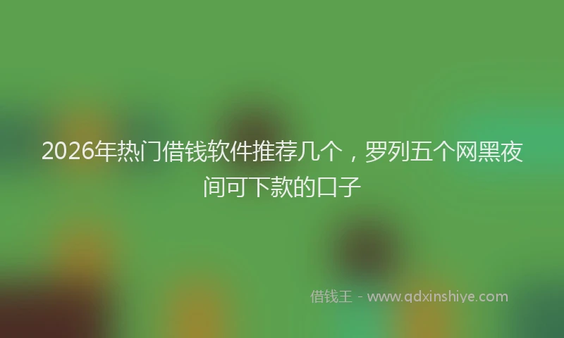 2026年热门借钱软件推荐几个，罗列五个网黑夜间可下款的口子