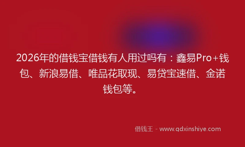 2026年的借钱宝借钱有人用过吗有：鑫易Pro+钱包、新浪易借、唯品花取现、易贷宝速借、金诺钱包等。