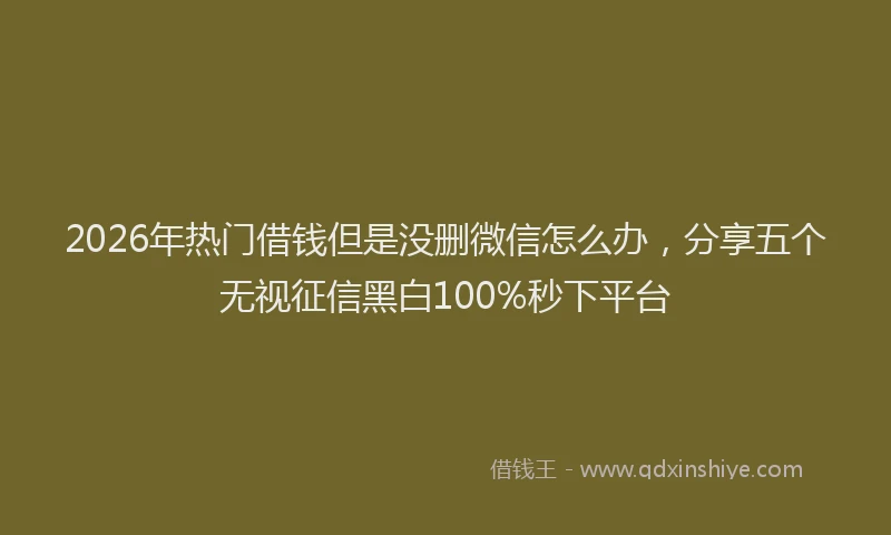 2026年热门借钱但是没删微信怎么办，分享五个无视征信黑白100%秒下平台