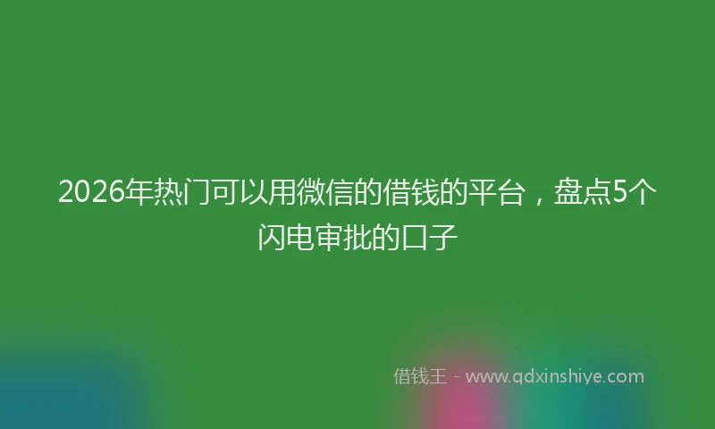2026年热门可以用微信的借钱的平台，盘点5个闪电审批的口子