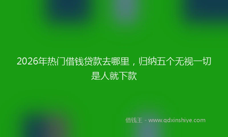 2026年热门借钱贷款去哪里，归纳五个无视一切是人就下款