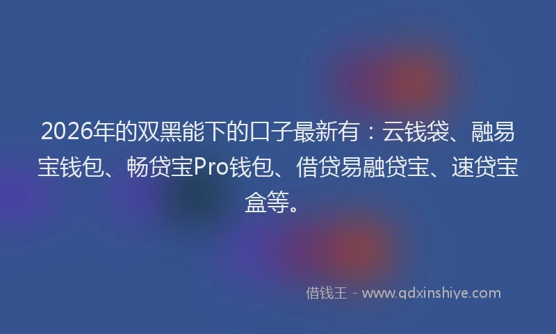 2026年的双黑能下的口子最新有：云钱袋、融易宝钱包、畅贷宝Pro钱包、借贷易融贷宝、速贷宝盒等。