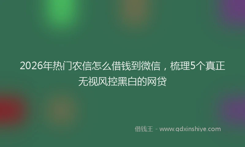2026年热门农信怎么借钱到微信，梳理5个真正无视风控黑白的网贷