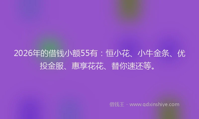 2026年的借钱小额55有：恒小花、小牛金条、优投金服、惠享花花、替你速还等。