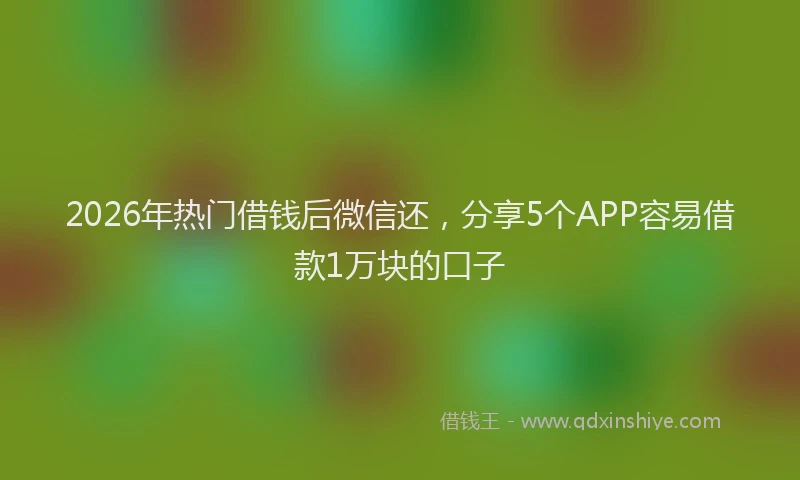 2026年热门借钱后微信还，分享5个APP容易借款1万块的口子