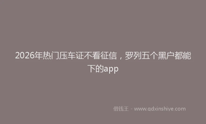 2026年热门压车证不看征信，罗列五个黑户都能下的app