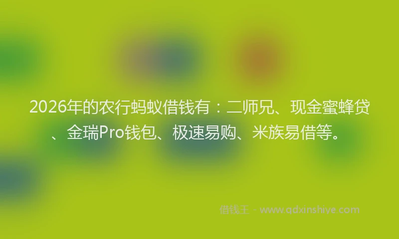 2026年的农行蚂蚁借钱有：二师兄、现金蜜蜂贷、金瑞Pro钱包、极速易购、米族易借等。