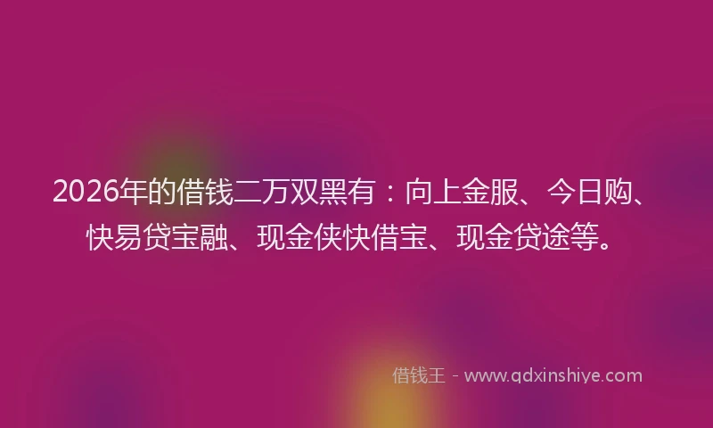 2026年的借钱二万双黑有：向上金服、今日购、快易贷宝融、现金侠快借宝、现金贷途等。