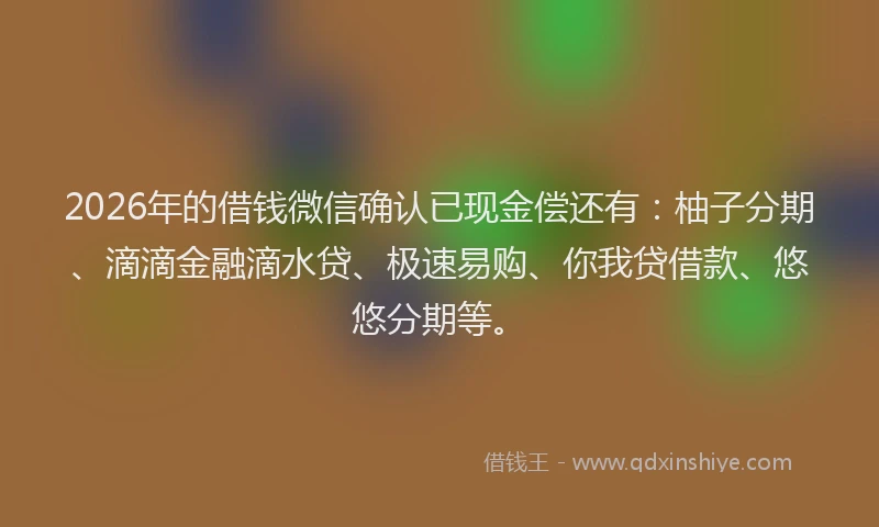 2026年的借钱微信确认已现金偿还有：柚子分期、滴滴金融滴水贷、极速易购、你我贷借款、悠悠分期等。