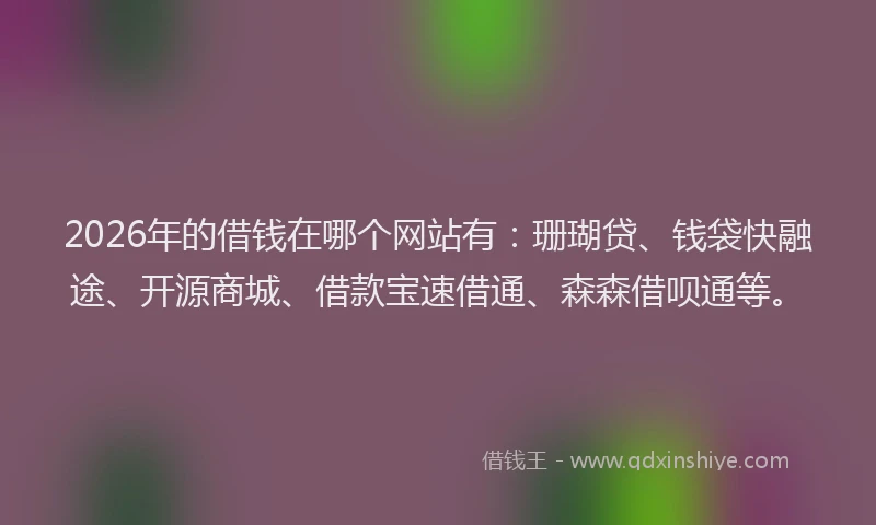 2026年的借钱在哪个网站有：珊瑚贷、钱袋快融途、开源商城、借款宝速借通、森森借呗通等。