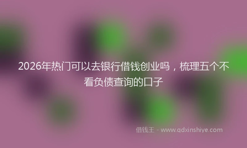 2026年热门可以去银行借钱创业吗，梳理五个不看负债查询的口子
