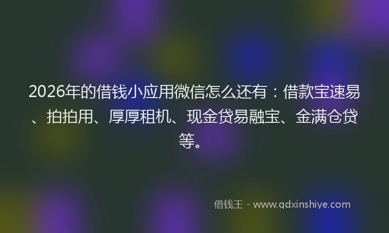 2026年的借钱小应用微信怎么还有：借款宝速易、拍拍用、厚厚租机、现金贷易融宝、金满仓贷等。