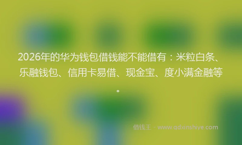 2026年的华为钱包借钱能不能借有：米粒白条、乐融钱包、信用卡易借、现金宝、度小满金融等。