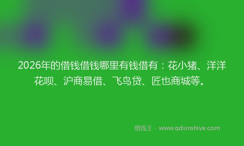 2026年的借钱借钱哪里有钱借有：花小猪、洋洋花呗、沪商易借、飞鸟贷、匠也商城等。