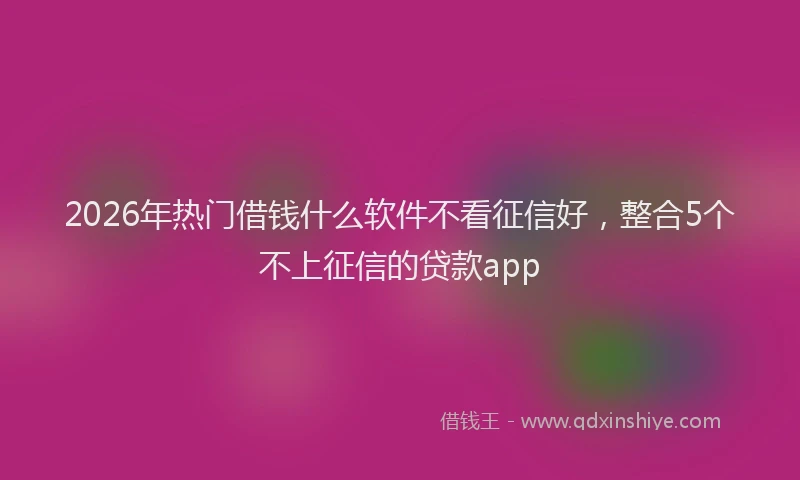 2026年热门借钱什么软件不看征信好，整合5个不上征信的贷款app