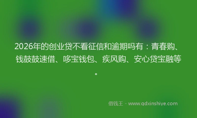 2026年的创业贷不看征信和逾期吗有：青春购、钱鼓鼓速借、哆宝钱包、疾风购、安心贷宝融等。