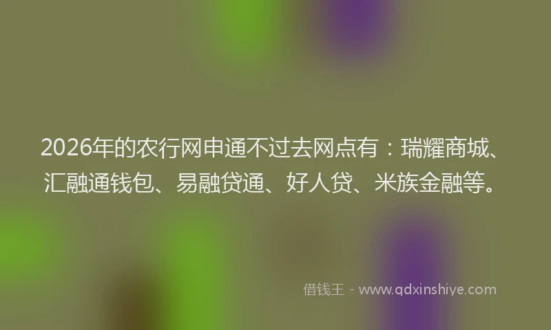 2026年的农行网申通不过去网点有：瑞耀商城、汇融通钱包、易融贷通、好人贷、米族金融等。