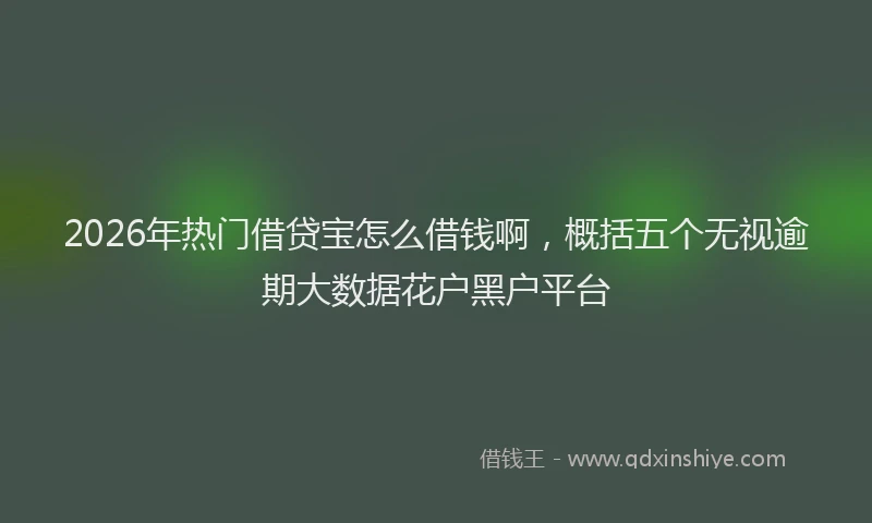 2026年热门借贷宝怎么借钱啊，概括五个无视逾期大数据花户黑户平台