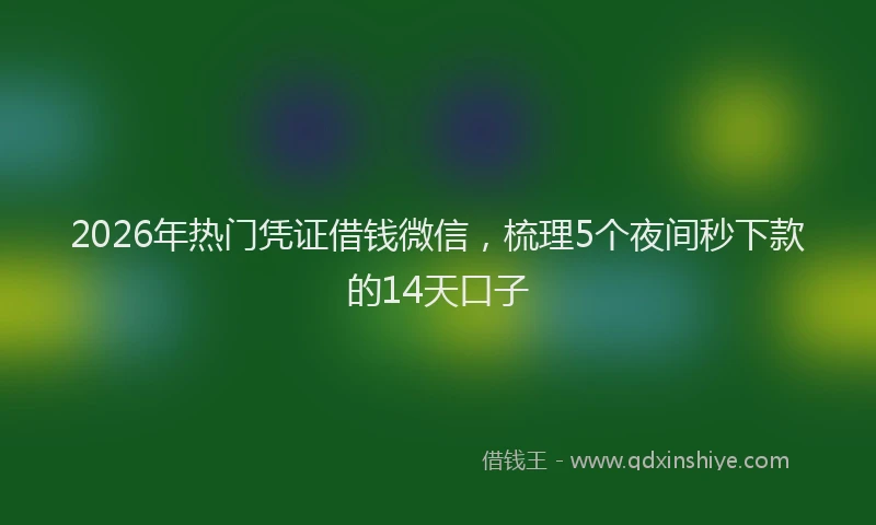 2026年热门凭证借钱微信，梳理5个夜间秒下款的14天口子