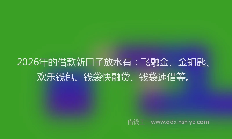2026年的借款新口子放水有：飞融金、金钥匙、欢乐钱包、钱袋快融贷、钱袋速借等。