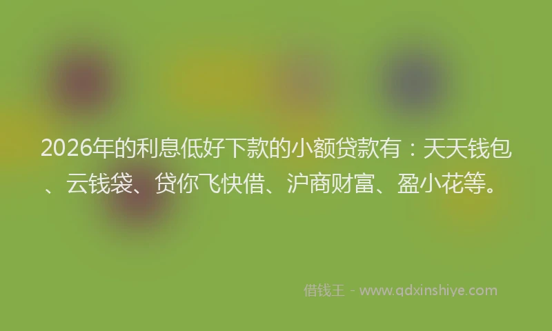 2026年的利息低好下款的小额贷款有：天天钱包、云钱袋、贷你飞快借、沪商财富、盈小花等。