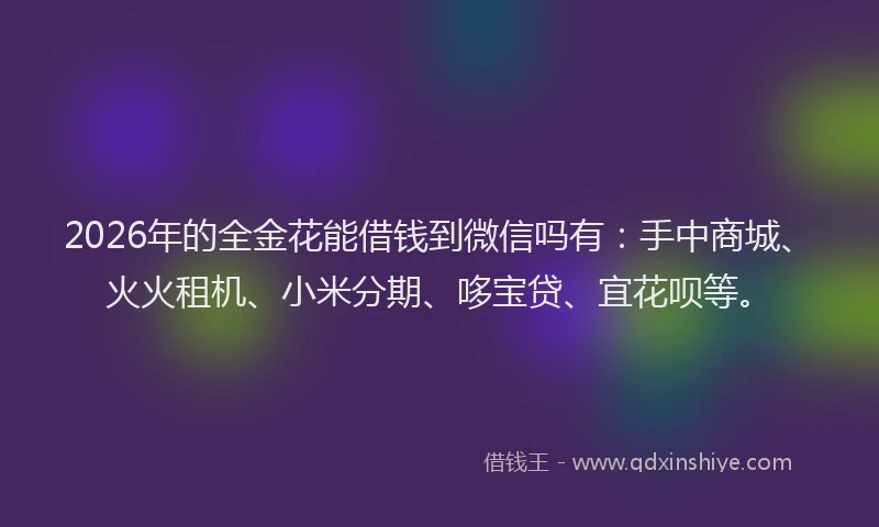 2026年的全金花能借钱到微信吗有：手中商城、火火租机、小米分期、哆宝贷、宜花呗等。
