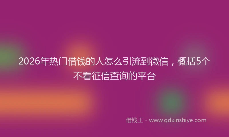 2026年热门借钱的人怎么引流到微信，概括5个不看征信查询的平台
