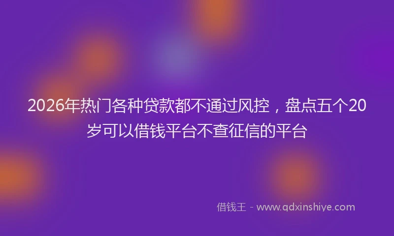 2026年热门各种贷款都不通过风控，盘点五个20岁可以借钱平台不查征信的平台