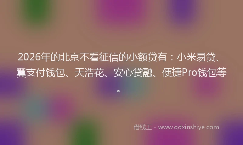 2026年的北京不看征信的小额贷有：小米易贷、翼支付钱包、天浩花、安心贷融、便捷Pro钱包等。