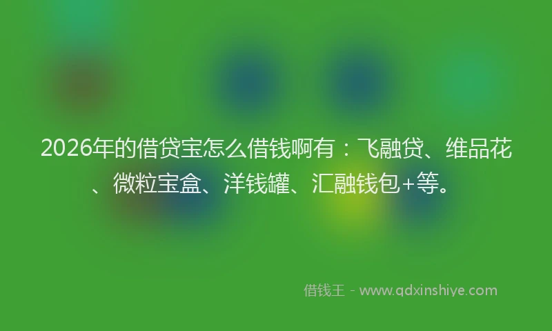 2026年的借贷宝怎么借钱啊有：飞融贷、维品花、微粒宝盒、洋钱罐、汇融钱包+等。