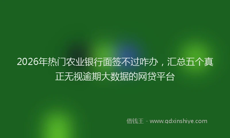 2026年热门农业银行面签不过咋办，汇总五个真正无视逾期大数据的网贷平台