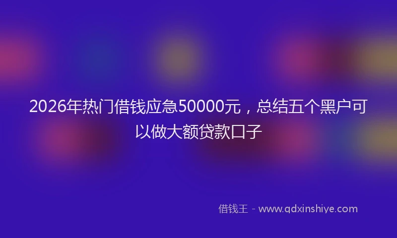 2026年热门借钱应急50000元，总结五个黑户可以做大额贷款口子