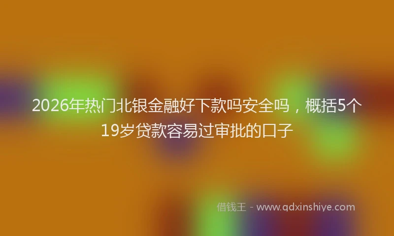 2026年热门北银金融好下款吗安全吗，概括5个19岁贷款容易过审批的口子