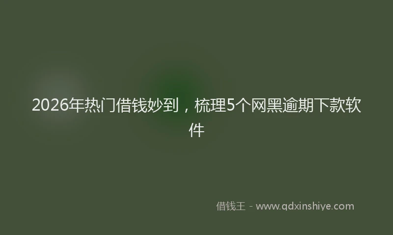 2026年热门借钱妙到，梳理5个网黑逾期下款软件