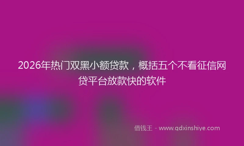 2026年热门双黑小额贷款，概括五个不看征信网贷平台放款快的软件