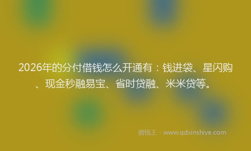 2026年的分付借钱怎么开通有：钱进袋、星闪购、现金秒融易宝、省时贷融、米米贷等。