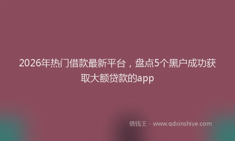 2026年热门借款最新平台，盘点5个黑户成功获取大额贷款的app