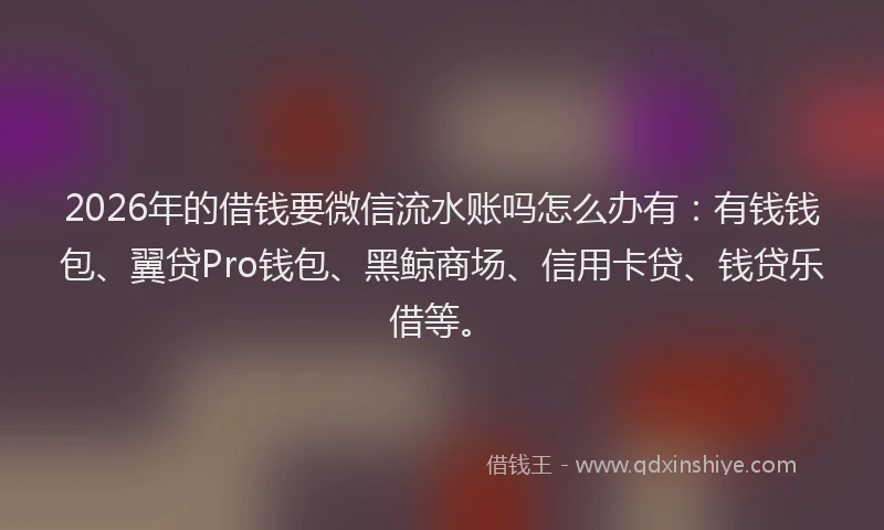 2026年的借钱要微信流水账吗怎么办有：有钱钱包、翼贷Pro钱包、黑鲸商场、信用卡贷、钱贷乐借等。